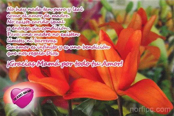 gracias-mama-por-todo-tu-amor.jpeg