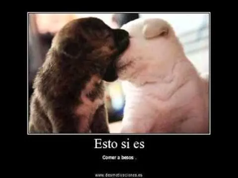 feliz aniversario de novios - YouTube