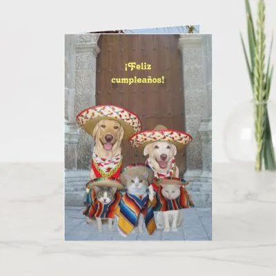 Feliz cumpleaños! Cards from Zazzle.