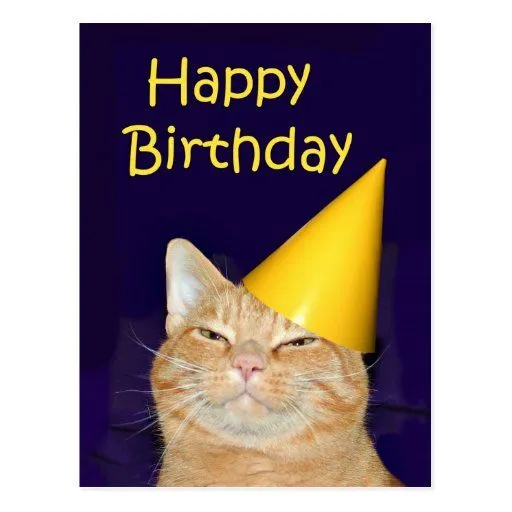 Feliz cumpleaños del gato feliz tarjetas postales de Zazzle.