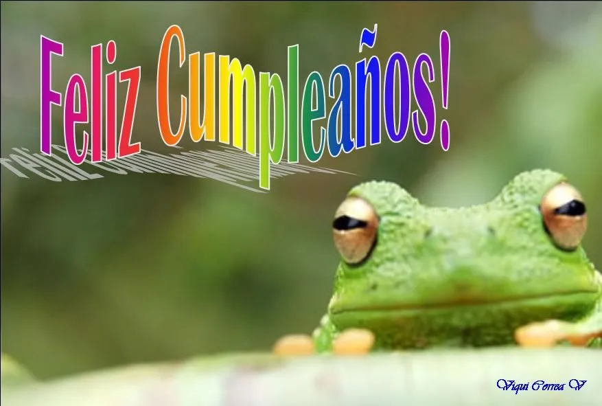Feliz cumpleaños rana rene - Imagui