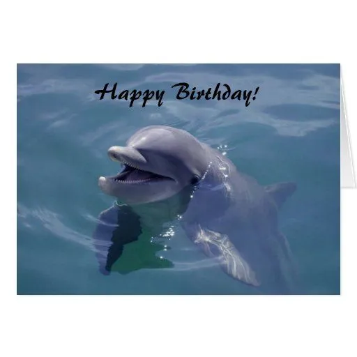 Feliz cumpleaños sonriente del delfín! Tarjetón | Zazzle