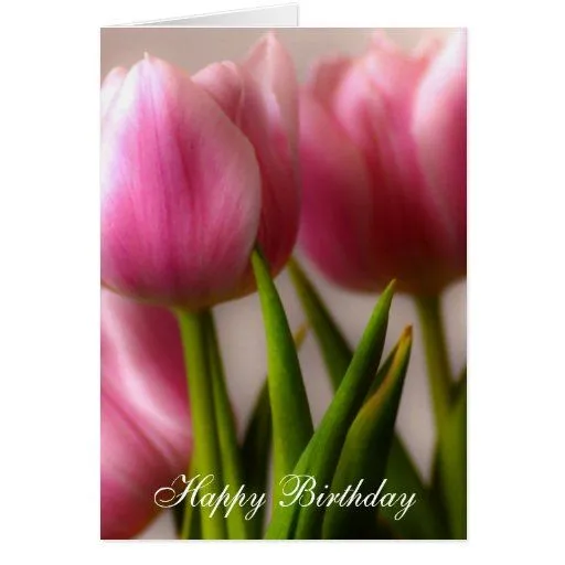 Tulipanes del feliz cumpleaños tarjetón | Zazzle