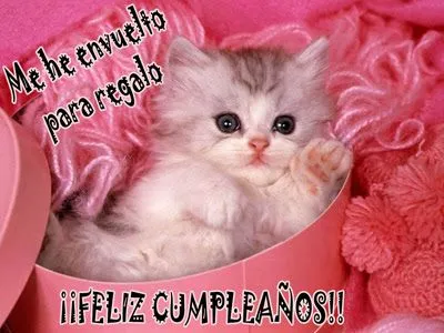 Imagenes en Facebook: Feliz Cumpleaños - Vol.1 (19 fotos)