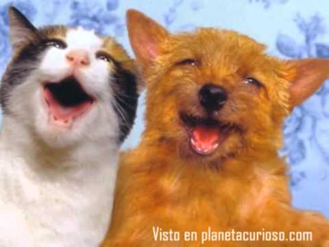 FELIZ CUMPLEAÑOS - YouTube