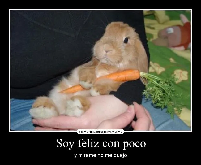 Soy feliz con poco | Desmotivaciones