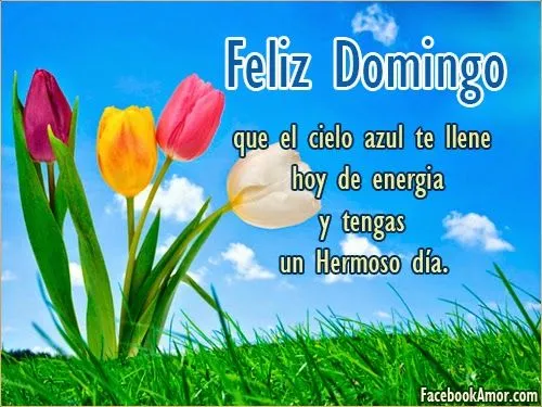 FELIZ DÍA DOMINGO PARA COMPARTIR - Imagenes Bonitas para Facebook ...