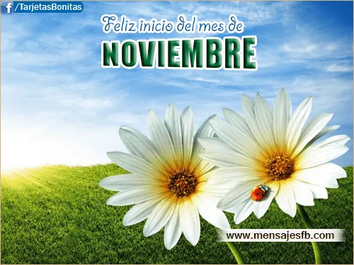 Feliz inicio del mes de Noviembre - Mensajes Bonitos de Amor para ...