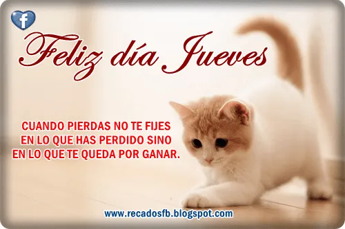 Feliz día Jueves con frases para facebook Imagenes bonitas con ...