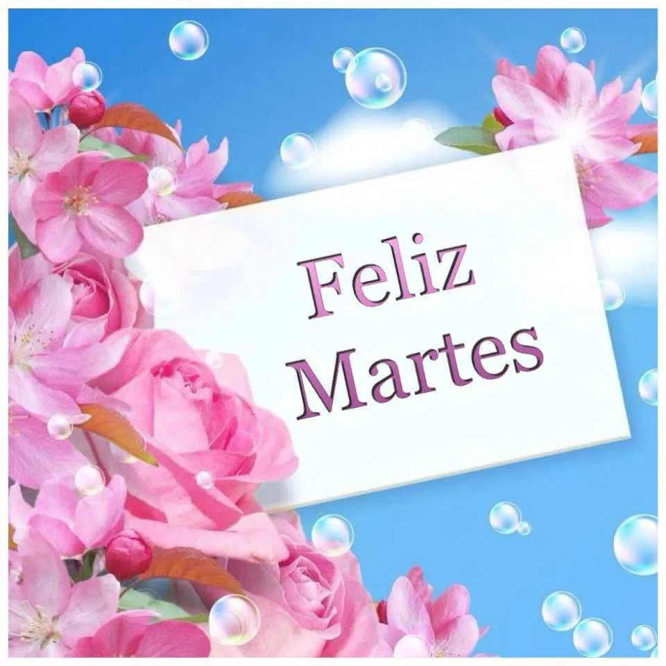 Feliz Martes - TnRelaciones