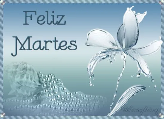 Feliz Martes - TnRelaciones