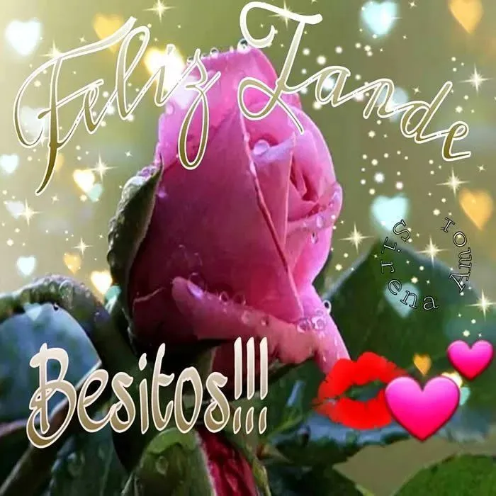 Feliz tarde rosas besitos | Saludos de buenas tardes, Frases de buenas  tardes, Tarjeta de buenas tardes