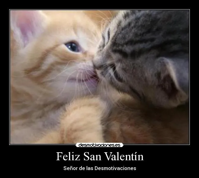 Feliz San Valentín - desmotivaciones.