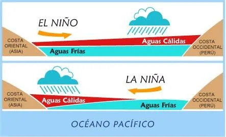 Diferencia entre el niño yla niña - Imagui