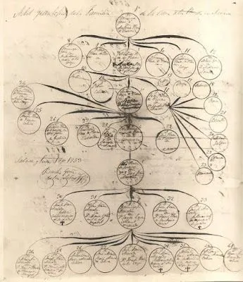 Los Fernández Acevedo y familia.: El árbol genealógico