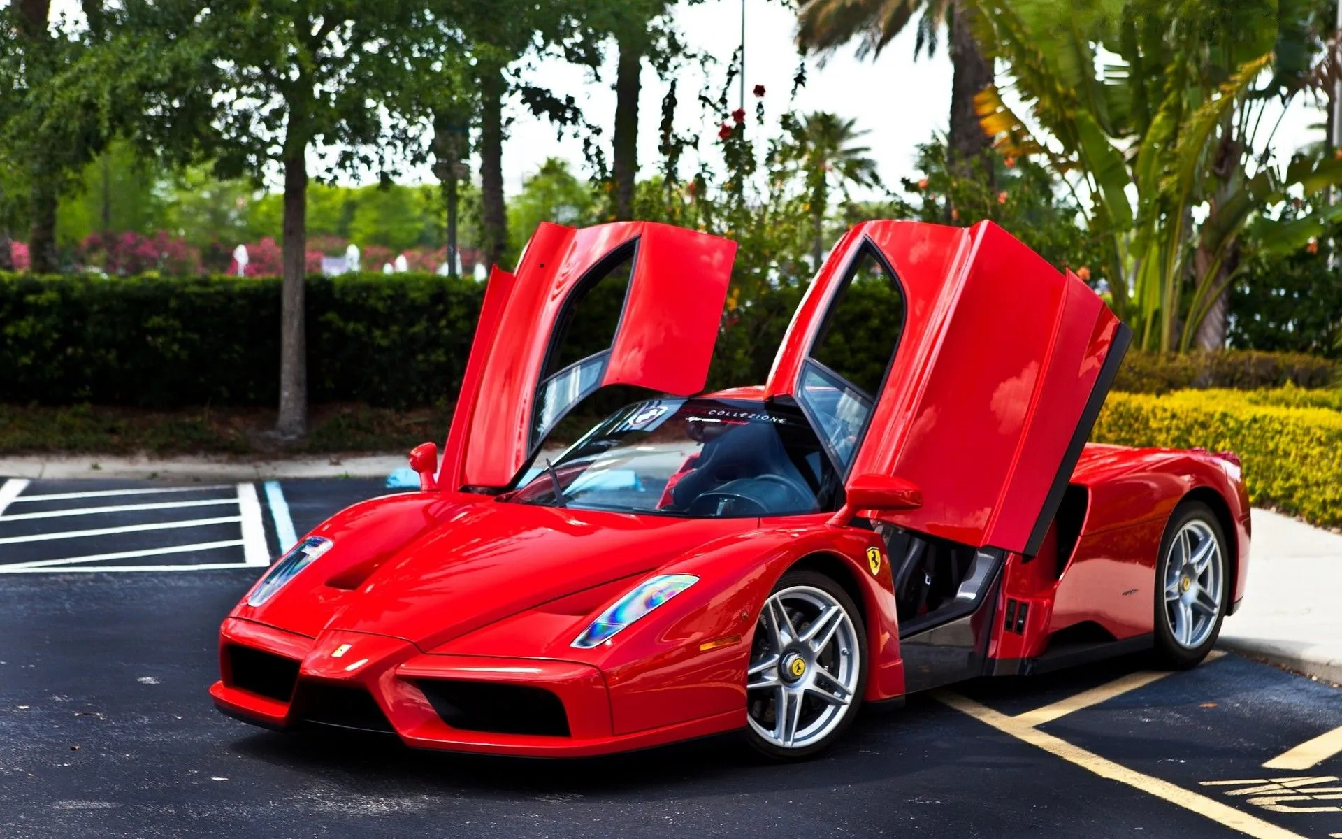 Ferrari Enzo Rojo | Carros USA