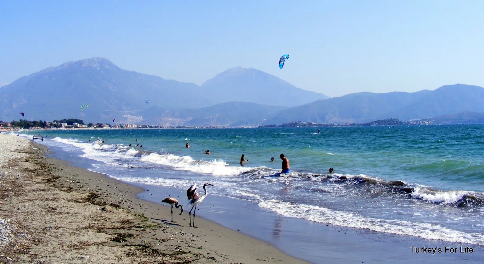 Fethiye, Flamingos & Football - A Weekend With Agent L (Part 1 ...