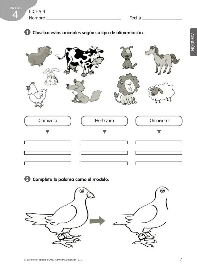 ficha animales herbívoros carnívoros y omnívoros para colorear - Buscar con  Google | Autotrofos y heterotrofos, Animales herbívoros, Omnivoros