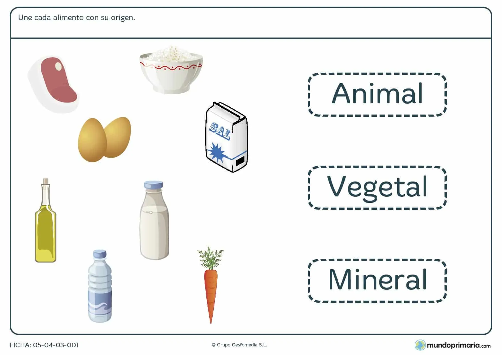 Ficha del origen de los alimentos para primaria