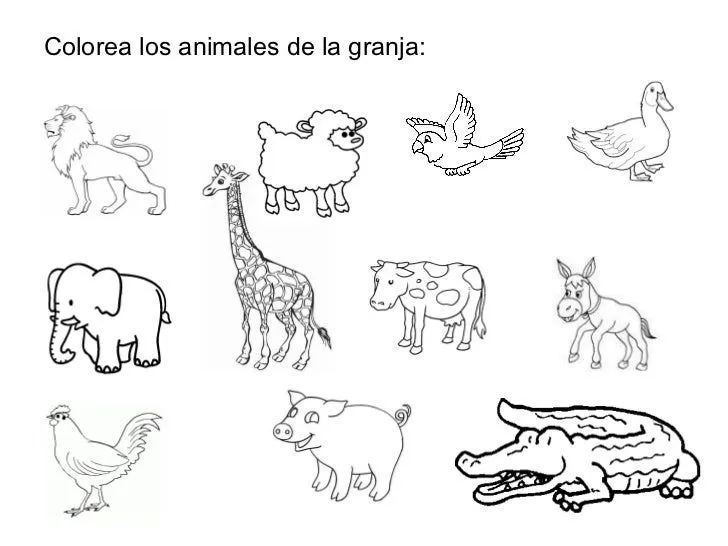 Fichas con animales