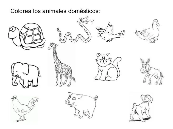 Fichas con animales