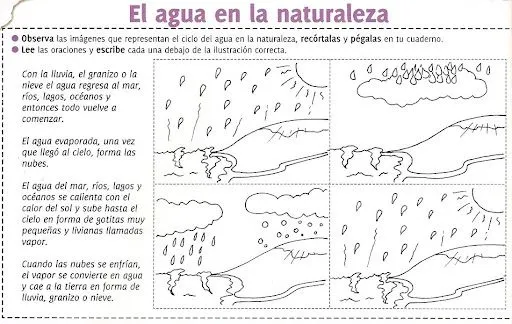 FICHAS DE CIENCIAS NATURALES PARA NIÑOS