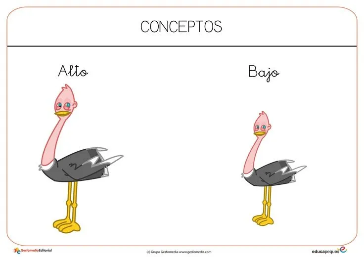 Concepto alto-bajo - Imagui