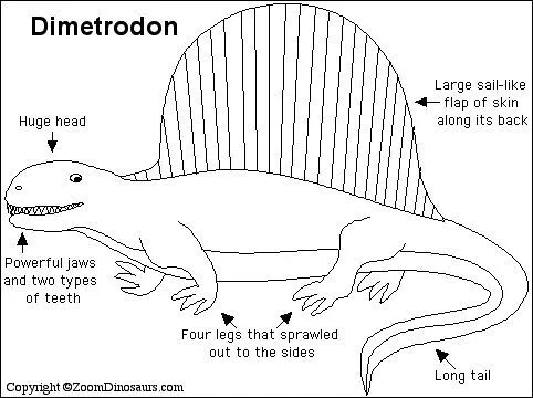 FICHAS DE DINOSAURIOS