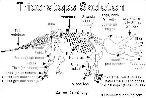 FICHAS DE DINOSAURIOS