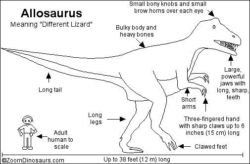 FICHAS DE DINOSAURIOS