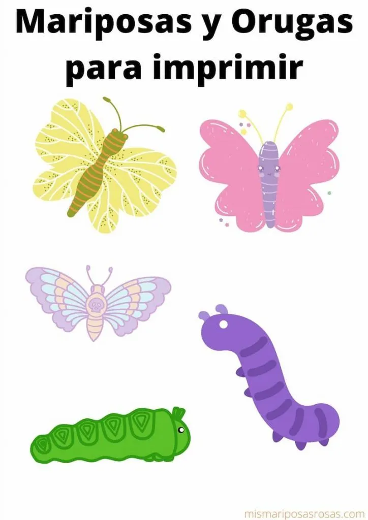 6 fichas infantiles de mariposas para descargar gratis