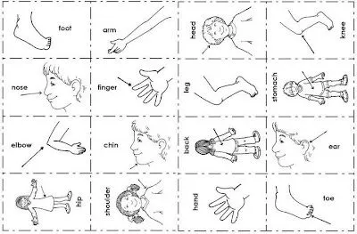 FICHAS DE INGLÉS - LAS PARTES DEL CUERPO 2 : FICHAS PARA NIÑOS