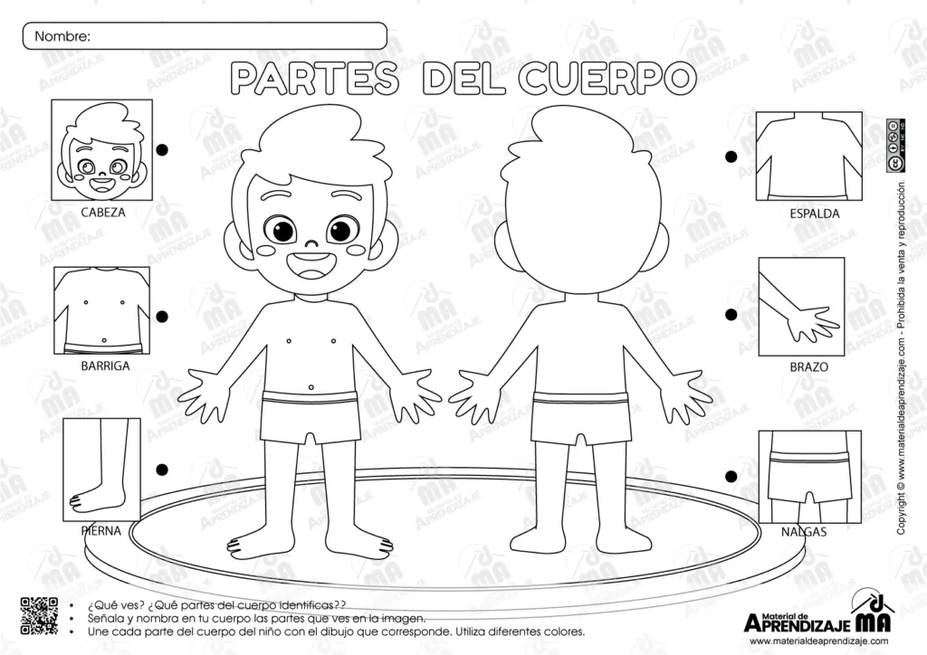 Fichas de trabajo - Las partes del cuerpo para niños de 3 años : Material  de Aprendizaje