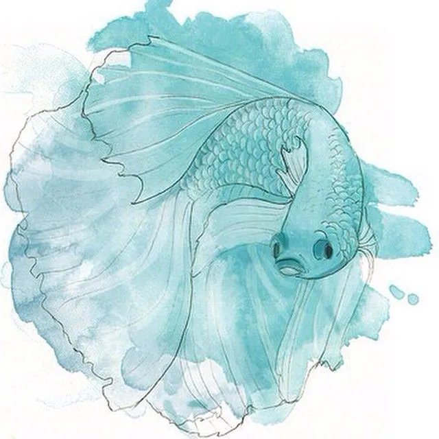 Fighter fish. Serie de ilustraciones - Elena Calonje, Arte e ...