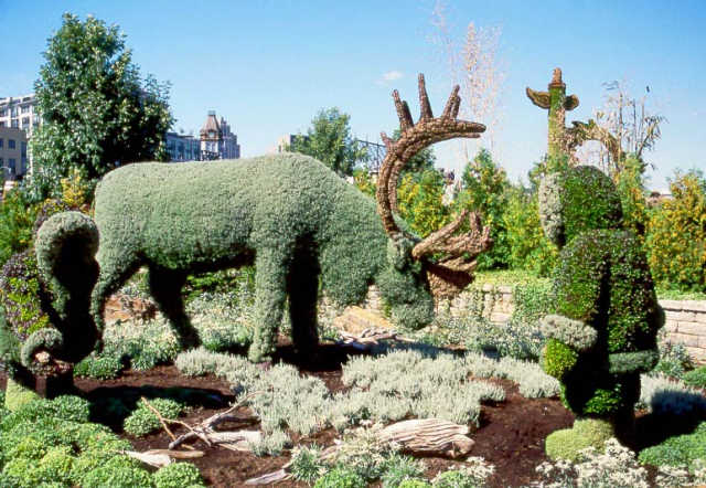 FIGURAS CON ARBUSTOS - PODA ORNAMENTAL O PODA TOPIARIA : TERRAZAS ...