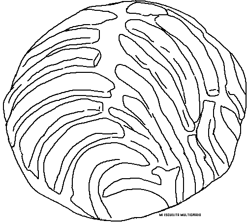 Dibujos de pan dulce para colorear - Imagui