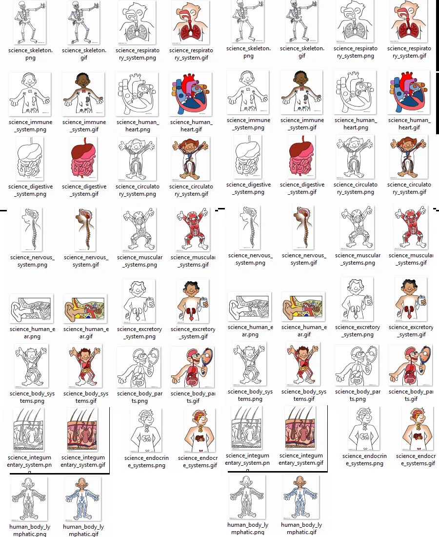 FIGURITAS de :”El cuerpo humano” para colorear (en Inglés) « PARA ...