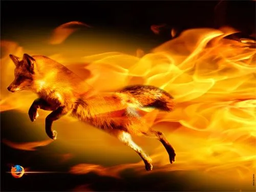 Firefox 3.5, el "zorro de fuego" más veloz - Blog de Interdominios -