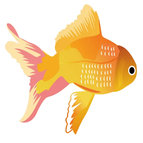 Fish print-Images and pictures to print