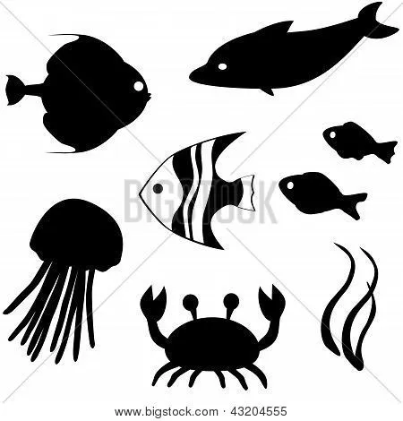 Fish silhouettes vector set 3 Stock Vector & Stock Photos | Bigstock