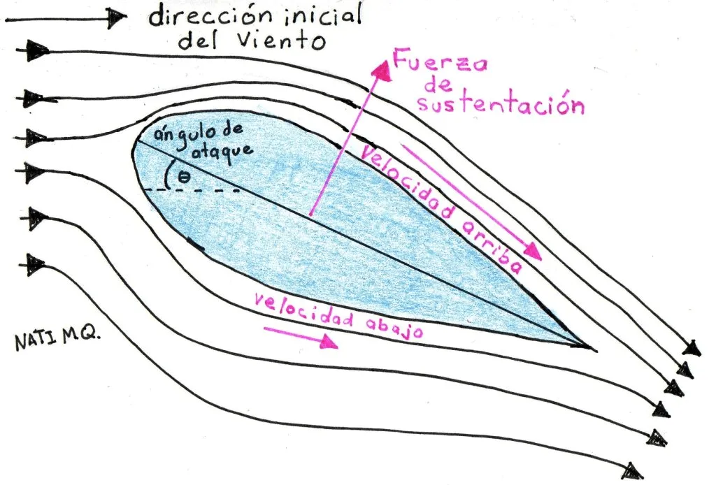 Física, Arroz y Frijoles: ¿Por qué vuelan los aviones?