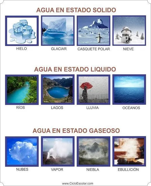 Los estados físicos del agua - Ejemplos | Estados fisicos del agua, Estados de la materia, Ciclo del agua