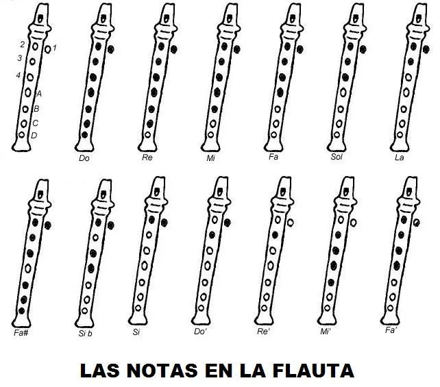 flauta notas Posición de dedos | Cursos de guitarra