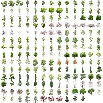 FLAV+InfoArquitectura: Arboles y Siluetas para nuestros proyectos