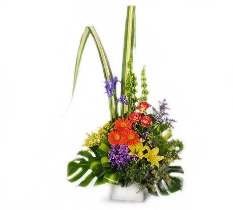 La Fleur Floreria - Envio el mismo dia: Arreglos de Flores con ...