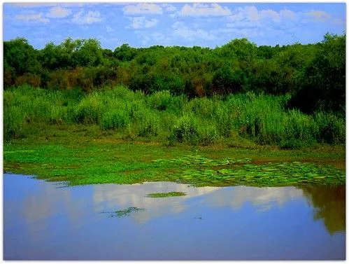 Flickr: Discussing Concurso de paisajes verdes in HABLA HISPANA -1 ...