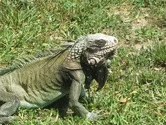 Flickr: Jaycer17's Photostream