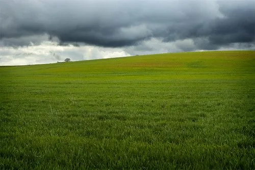 Flickriver: Most interesting photos from Cernégula, Castille and ...