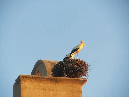 Flickriver: Most interesting photos from Galisteo, Extremadura, Spain