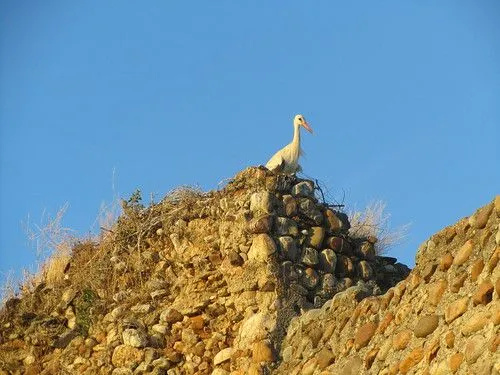 Flickriver: Most interesting photos from Galisteo, Extremadura, Spain